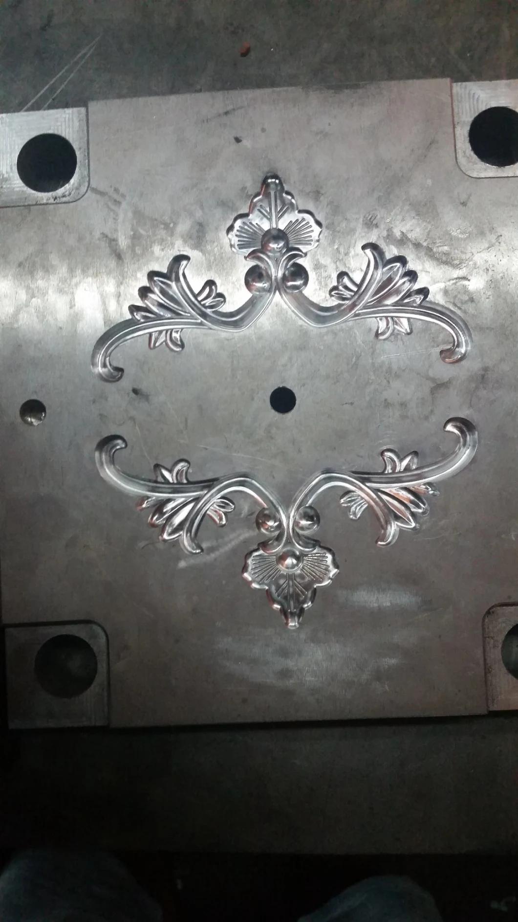 Plasitc Mold for The Car Logo