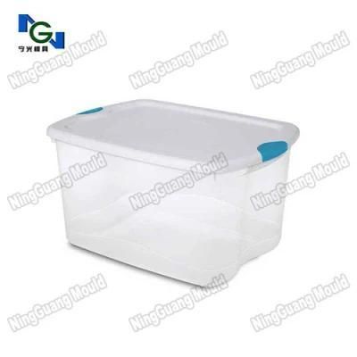 China Plastic Storage Box Mould