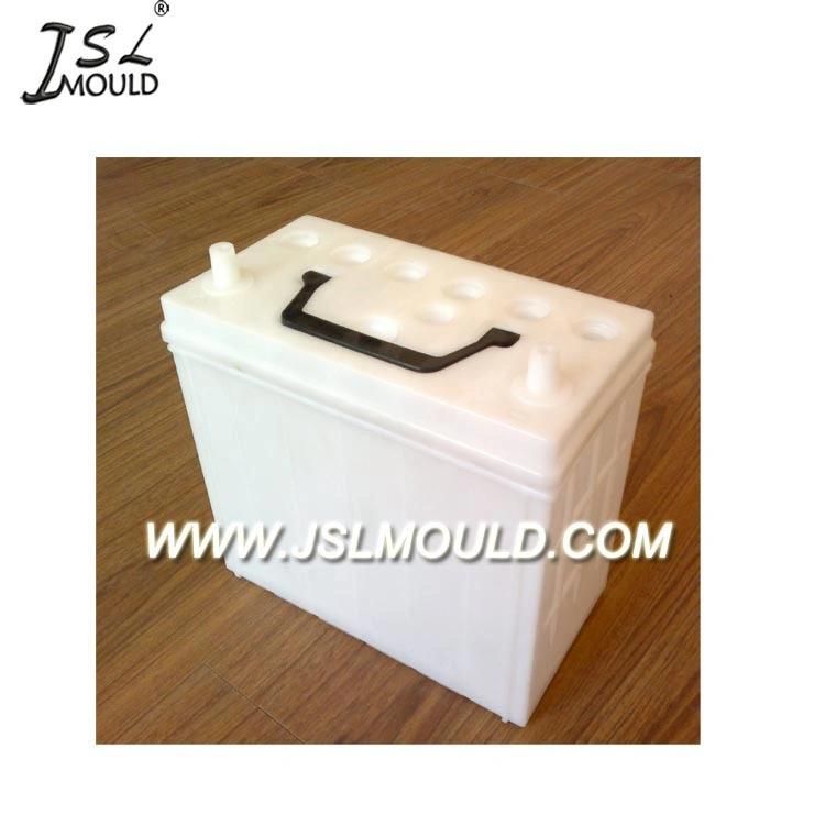 OEM Custome Injection Plastic Auto Battery Case Mould