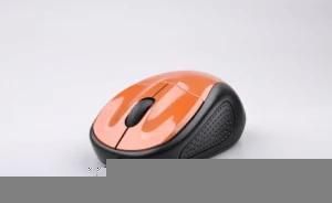 Computer Mouse Mould