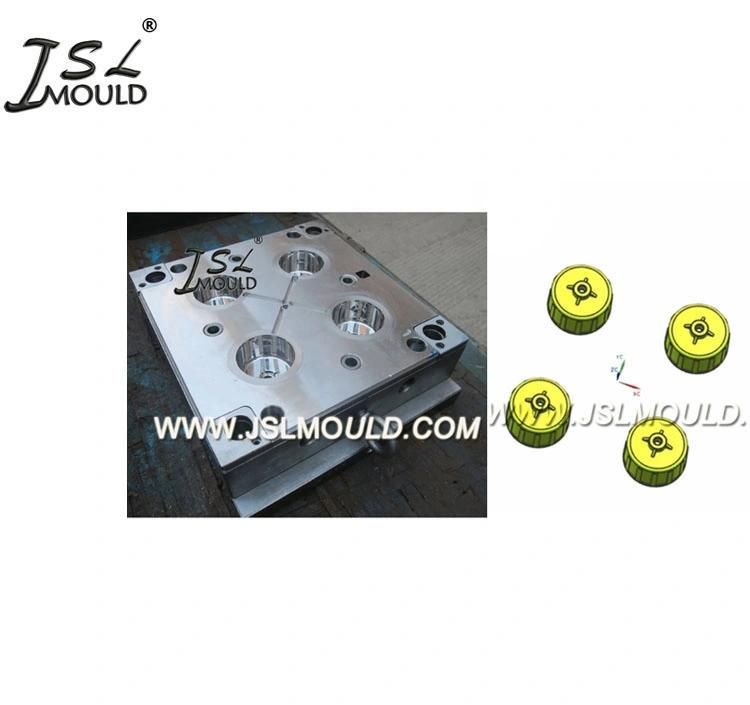 Experienced High Standard Plastic Clear Water Filter Housing Mold