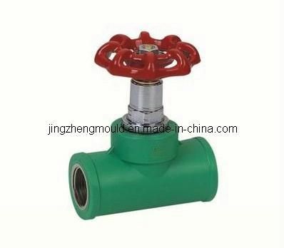 PP-R Plastic Globe Valve Mould