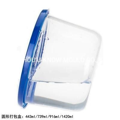 Plastic Portable Lunch Box Injection Mould Plastic Household Sealed Lunch Container Mold