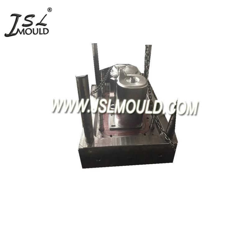 Quality Injection Plastic Double Tub Washing Machine Mold