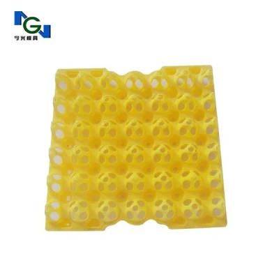 Plastic Injection Mold for Egg Pallet