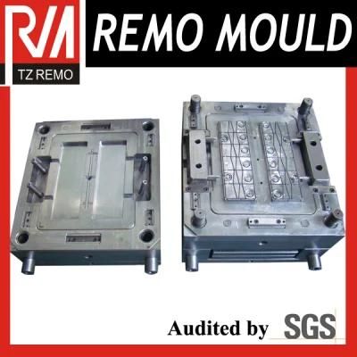 Plastic Battery Case Mould