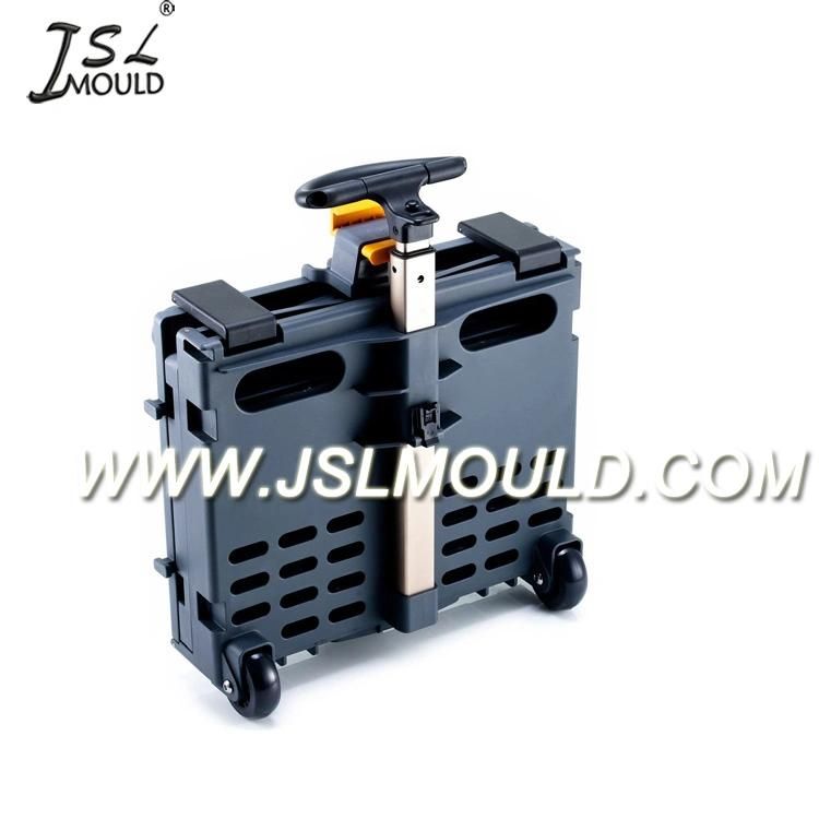 Injection Plastic Bicycle Basket Mould