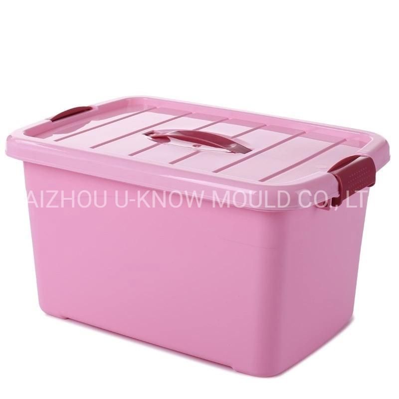 Hot Sale High Quality Taizhou Storage Box Mould Container Mold