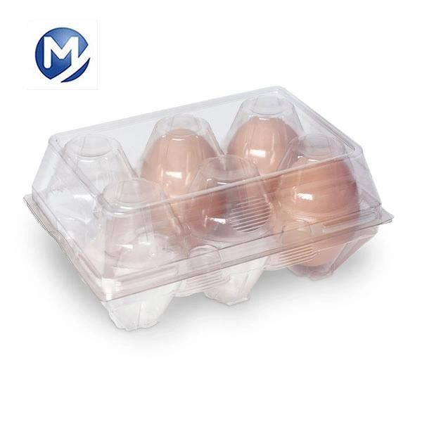 Disposable Food Container/Plastic Egg Tray Plastic Uptake Product