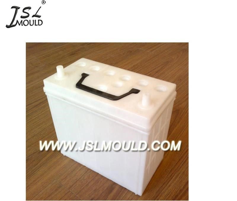 Injection Plastic Mould for Car Battery Cover