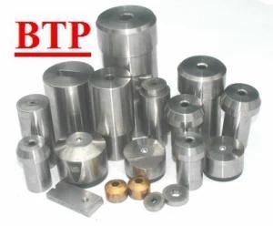 Btp Brand Die Casting Cold Heading Punches (BTP-P119)