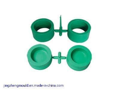 PPR 20mm Cap Mold/PPR Pipe Fitting Mold