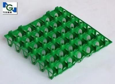 Egg Tray Mould (NGK6206) in Taizhou China