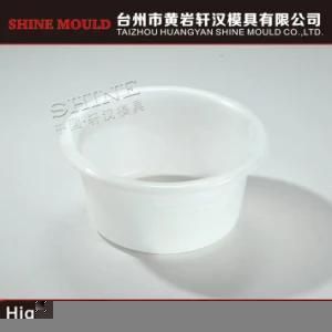 Shine Injection Plastic Tub Moulding