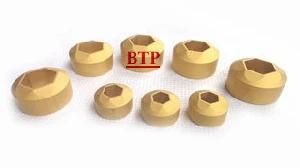 Titanium Coating Carbide Cold Forming Trimming Dies (BTP-D284)