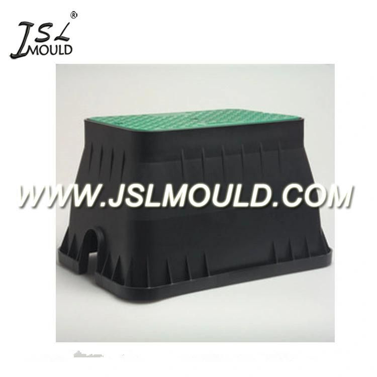 High Quality Plastic Injection Valve Box Mould
