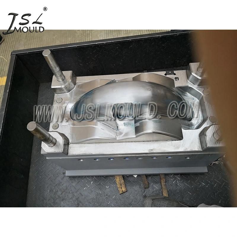 Taizhou Experienced Motorbike Mudguard Mould