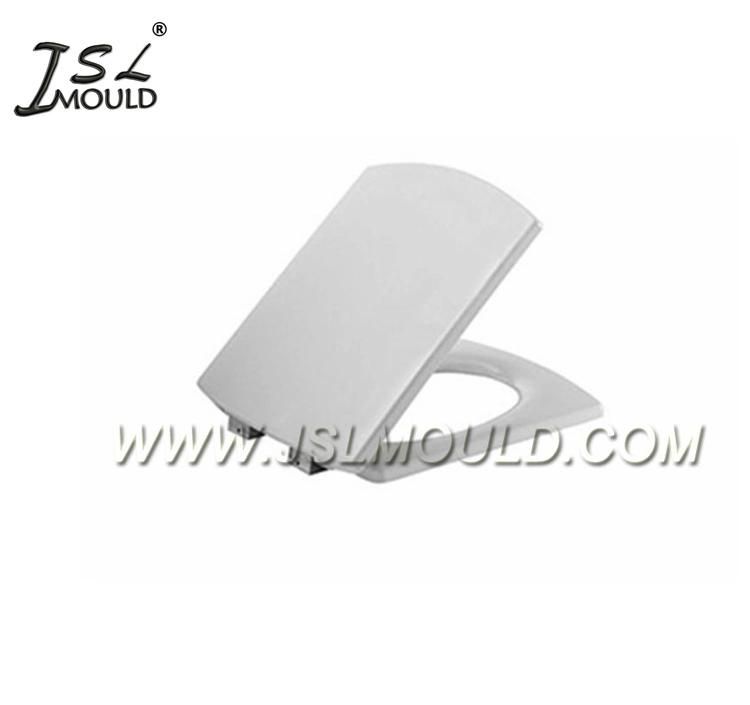 High Quality Plastic Toilet Seat Cover Mold