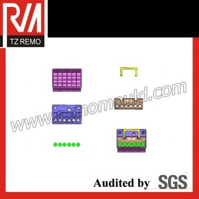 Rmbm160312 Car Battery Mould / Ns40 / Ns50 / Ns60 / Ns70 / Ns120 Mould