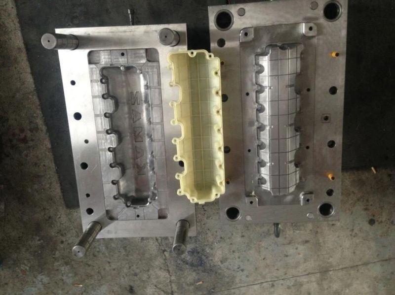 Injection Mold Maker for Auto Bumper