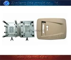Plastic Injection Mould for ABS Cover (A21S)