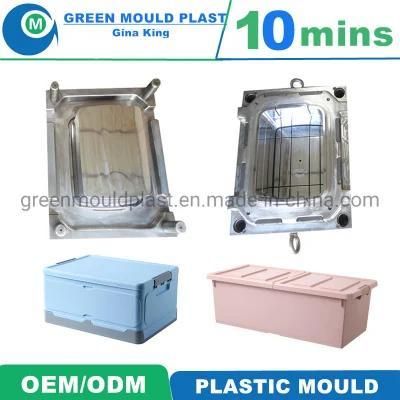 Professional OEM Plastic Household Mould Plastic Clothes Container Mould