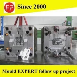 Plastic Injection Mould for Plastic Rack