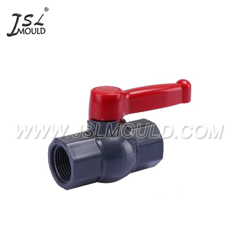 High Quality Plastic Injection Valve Mould