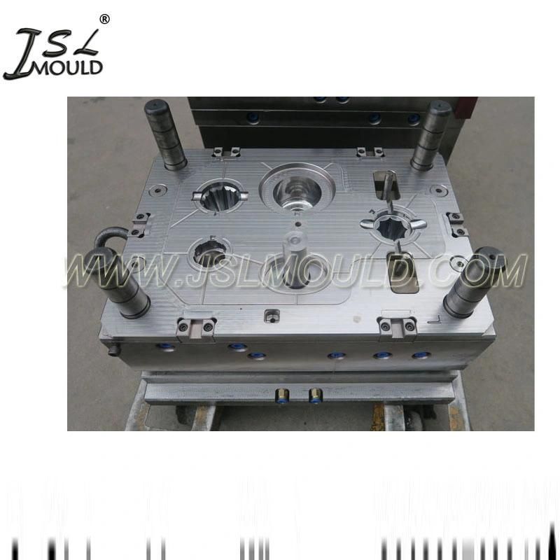 Professional Quality Plastic Juicer Blender Plastic Parts Mold