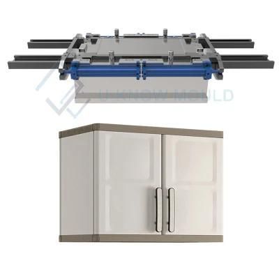 New Design Cabinet Plastic Injection Mould Plastic Closet Mold