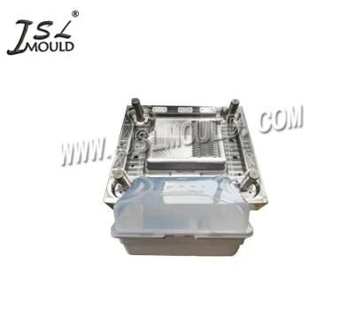 China High Quality Plastic Dish Drainer Mould
