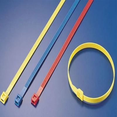 Plastic Injection Mold Plastic Nylon Cable Ties Injection Mould Heromould