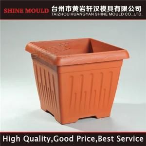 China Shine Flower Pot Plastic Injection Moulding Commodity