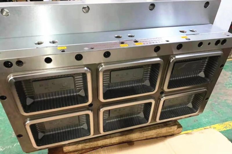 High-End Moulding Machine Plastic Injection Mold Molding for Making Lunch Box and Egg Tray