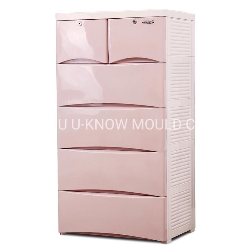 Household Closet Injection Mould Plastic Cabinet Mold
