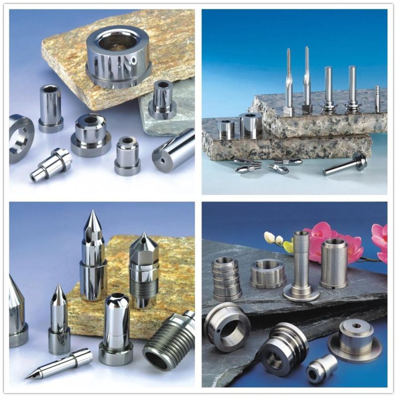 China Customized Plastic Mold Parts Precision Mold Components CNC Machining Parts Tool Steel and Carbide