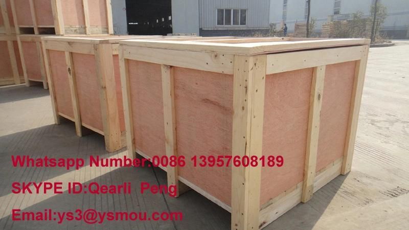 Plastic for Wine Bottle Blowing Mould