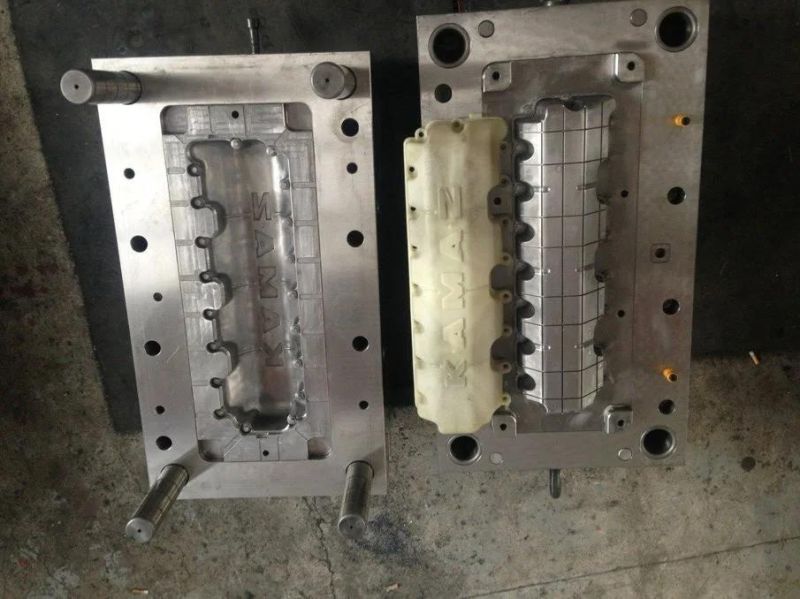 Injection Mold Maker for Auto Bumper