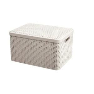 Plastic Injection Storage Box Mold
