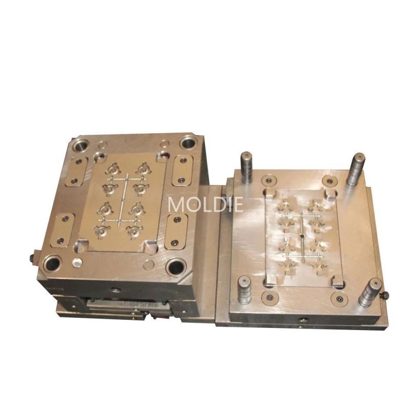 Customized/Designing Small Plastic Auto Part Injection Mold