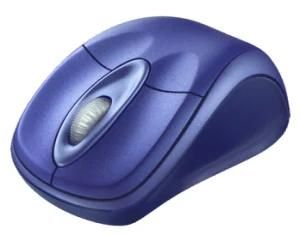 Computer Mouse Mold/Mould