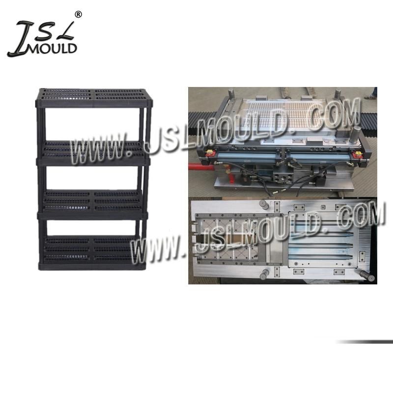 Experienced Quality Plastic Garage Storage Shelf Mold