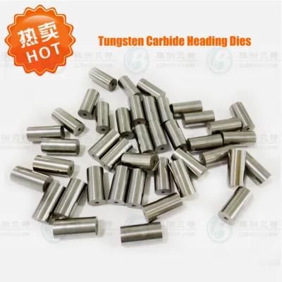 Precision Carbide Heaidng Die for Fastener Industry