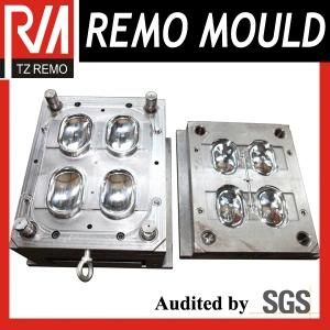 Plastic Soap Case Mould (TZRM-SCM15512)