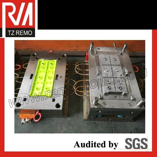 Plastic Battery Case Mould