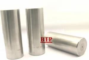 High Precision Hardware Tool Cold Forging Punch Die (BTP-P098)