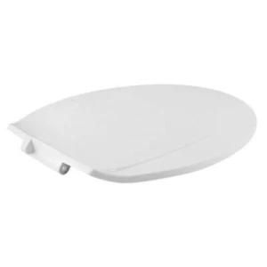 China-Made Injection Mold for Plastic Toilet Seats