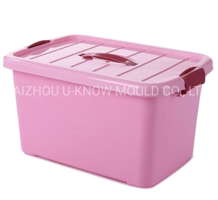 Storage Box Mould with Lid & Handle Plastic Household Mold Supplier