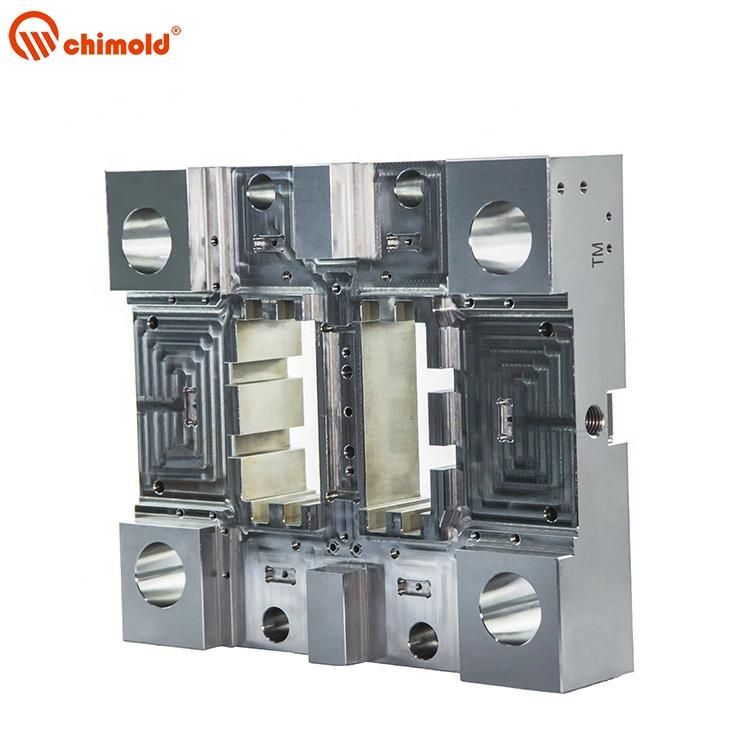 Precision Mold