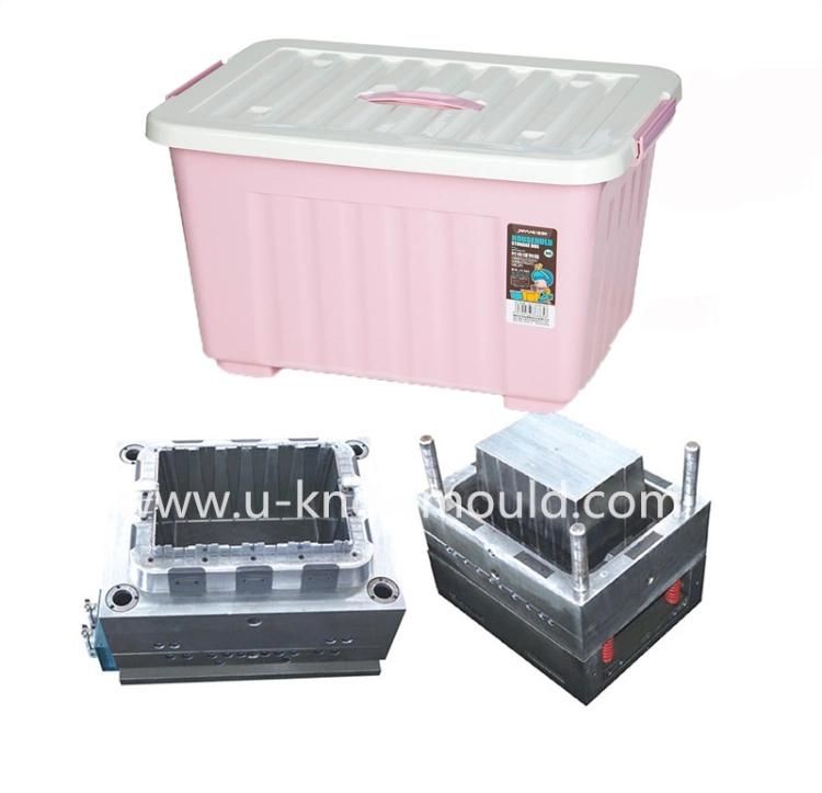 Professional Manufacturer Plastic Storage Box Mould in China